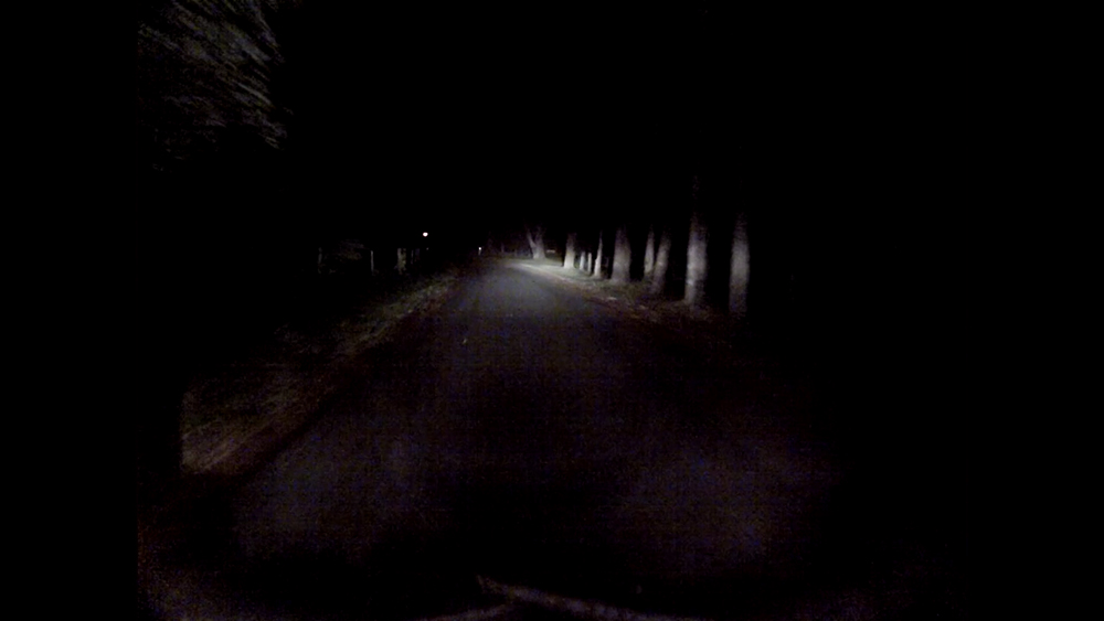 night drive